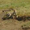 Voyage à impact en Tanzanie