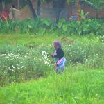 Circuit avec chauffeur en Ouganda Séjour immersif en famille en Ouganda