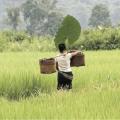 laos